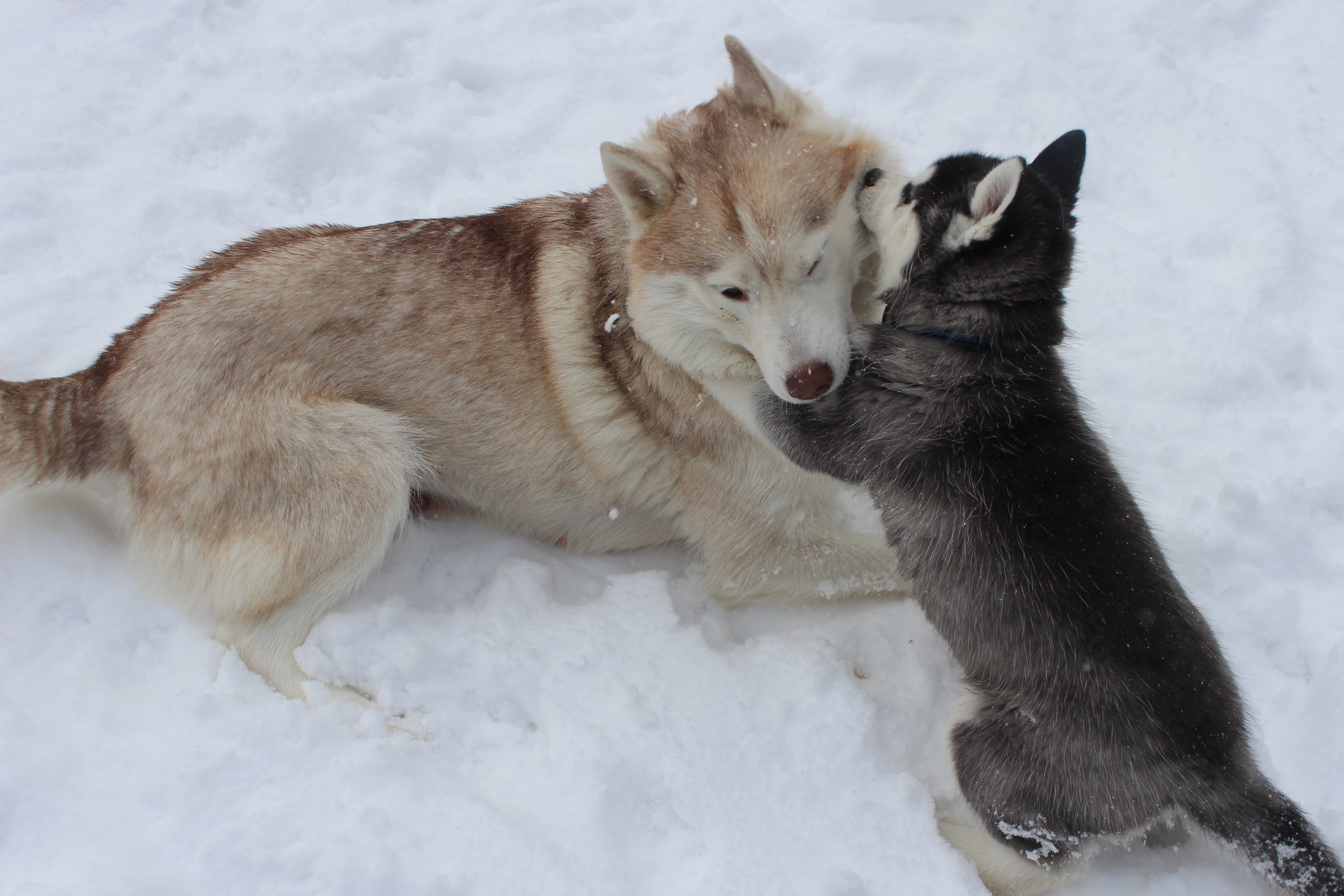 Mom, I've got a secret!